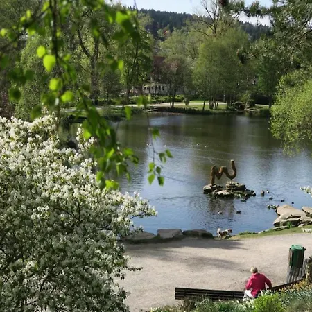 In Der Naehe Des Bocksberglifts Goslar